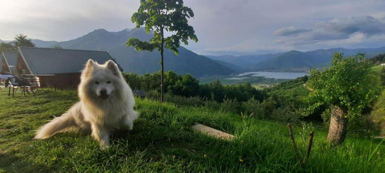 Grandfather'S Place Budevice Плав Экстерьер фото